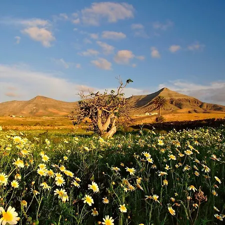 Marine Lovers - Jacuzzi Fuerteventura *