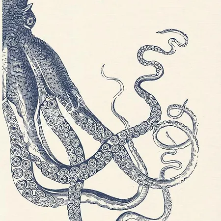 דירה Marine Lovers - Jacuzzi Fuerteventura *